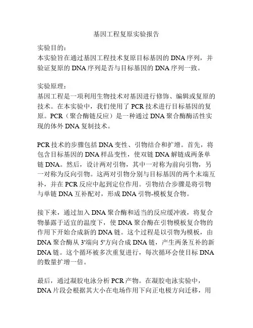 基因工程复原实验报告