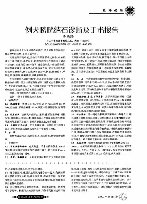 一例犬膀胱结石诊断及手术报告