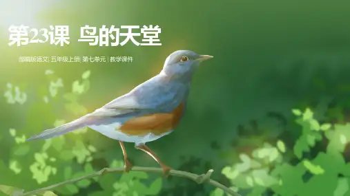 最新人教部编版小学五年级上册语文第23课《鸟的天堂》第二课时名师课件
