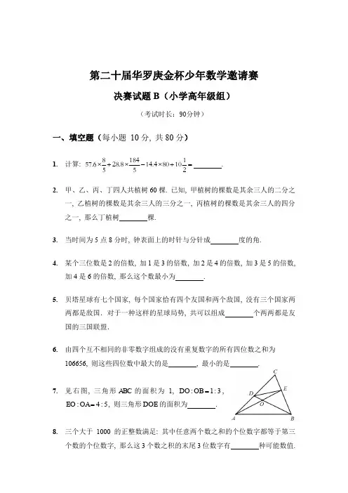 第二十届华罗庚金杯少年数学邀请赛(小学高年级组)-决赛试题B