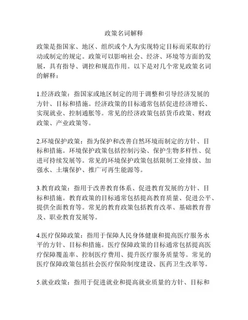 政策名词解释