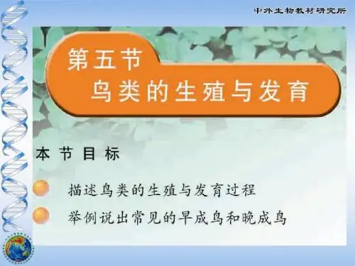 鸟类的生殖与发育