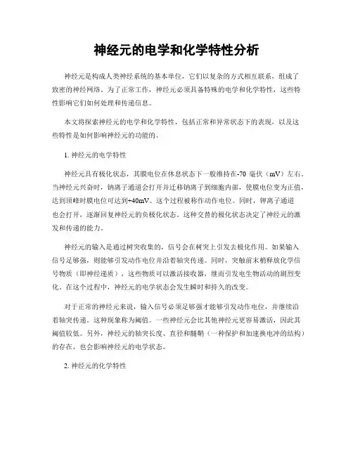 神经元的电学和化学特性分析