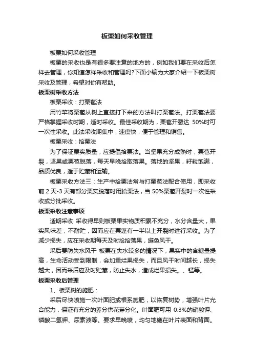 板栗如何采收管理