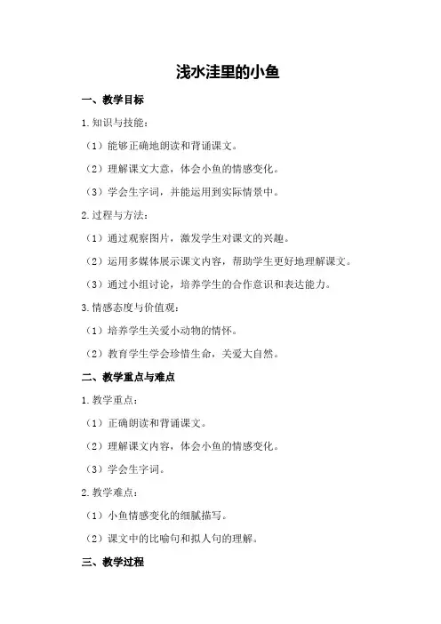 浅水洼里的小鱼   教案