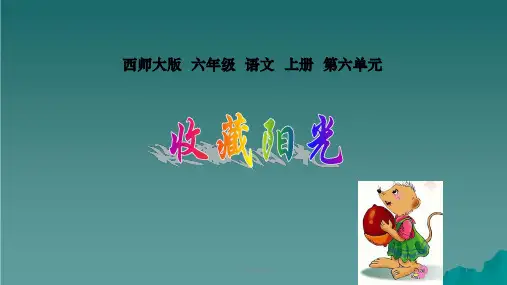 六年级语文上册第22课收藏阳光1西师大版ppt课件