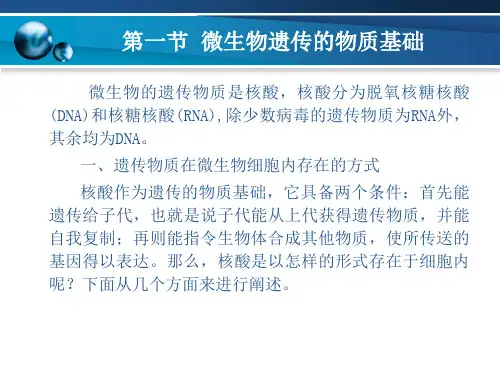 微生物的遗传变异和育种