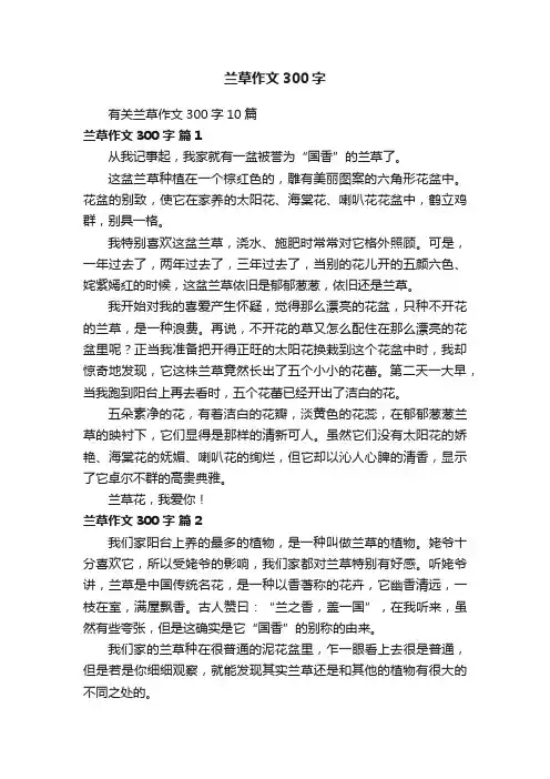 有关兰草作文300字10篇