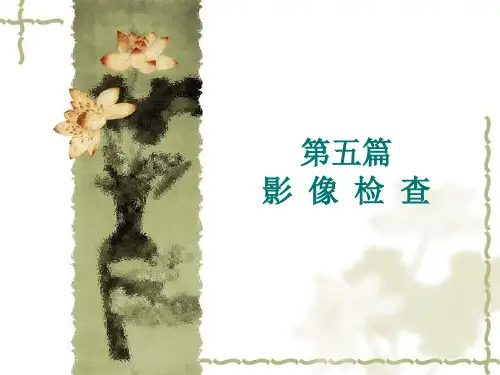 骨骼系统影像检查