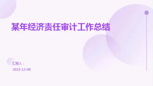某年经济责任审计工作总结