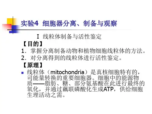 细胞器分离