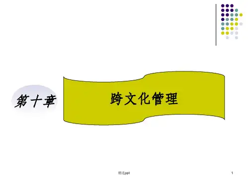 《跨文化管理》PPT课件