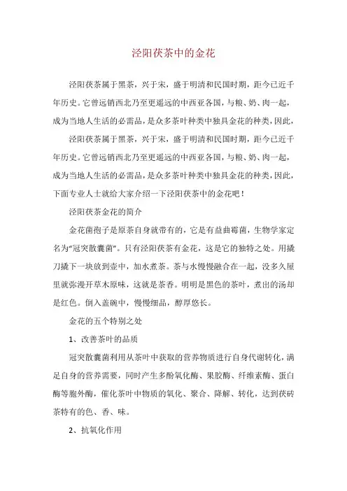 泾阳茯茶中的金花