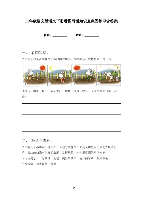 二年级语文版语文下册看图写话知识点巩固练习含答案