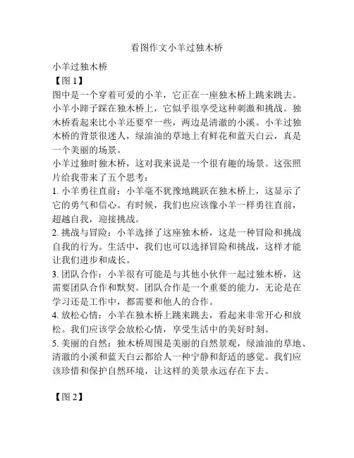 看图作文小羊过独木桥