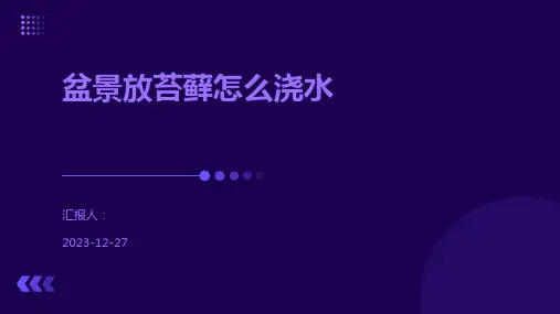 盆景放苔藓怎么浇水