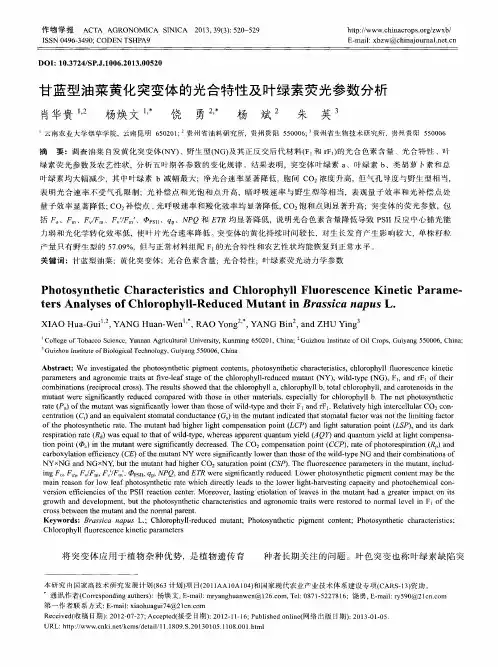 甘蓝型油菜黄化突变体的光合特性及叶绿素荧光参数分析