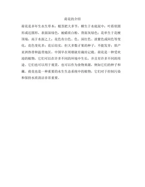133 荷花的介绍