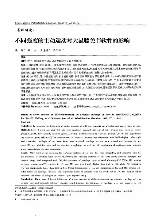 不同强度的主动运动对大鼠膝关节软骨的影响