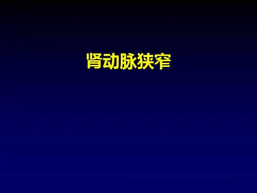 肾动脉狭窄PPT课件