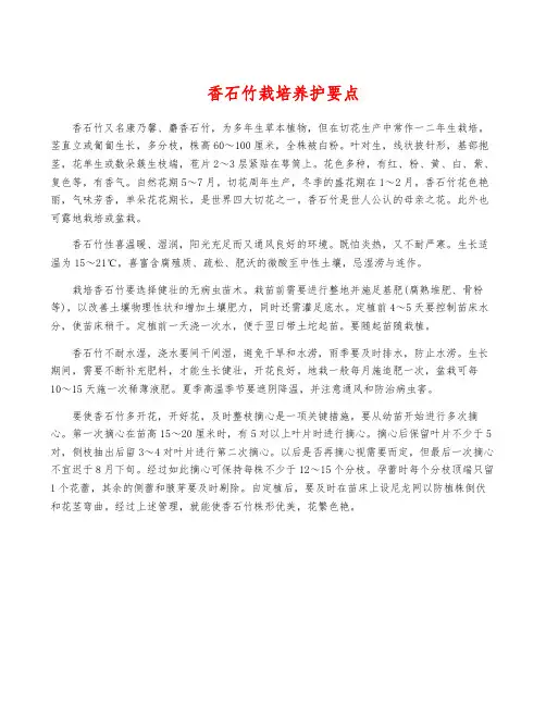 香石竹栽培养护要点