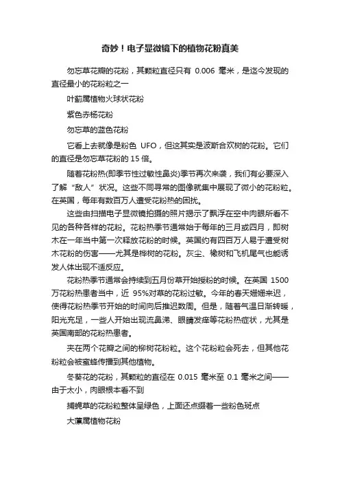 奇妙！电子显微镜下的植物花粉真美