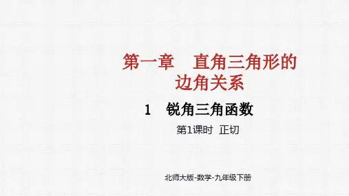 1.1.1 正切 课件(共28张PPT)2024-2025学年数学北师大版九年级下册.ppt