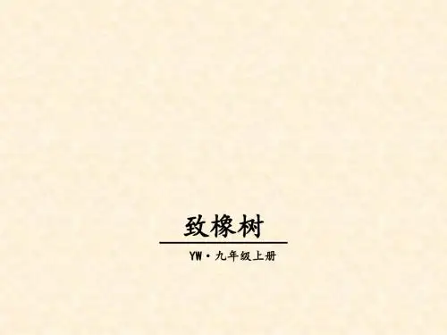 九年级语文上册 第一单元 2 致橡树教学课件 语文版