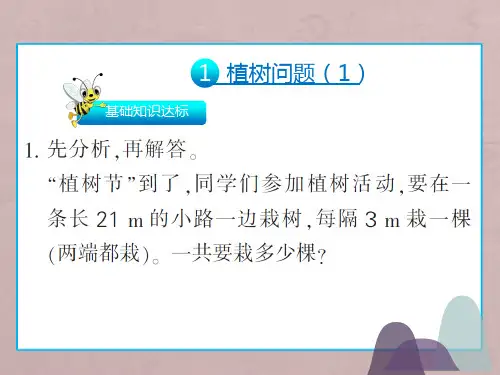 五年级上册数学课件- 第七单元 数学广角——植树问题 人教新课标()(共26张PPT)