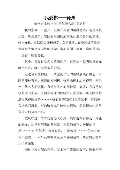 我爱你沧州(孙名哲)