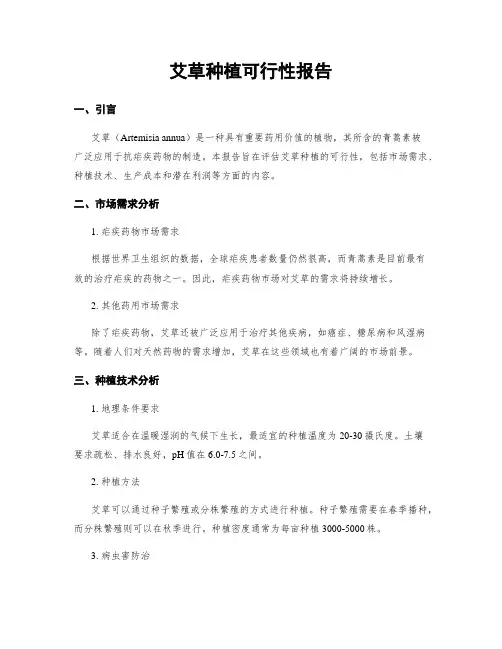艾草种植可行性报告