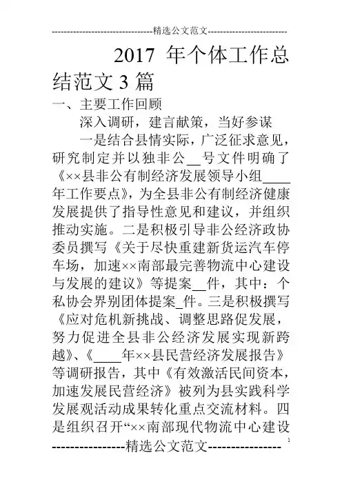 17年个体工作总结范文3篇