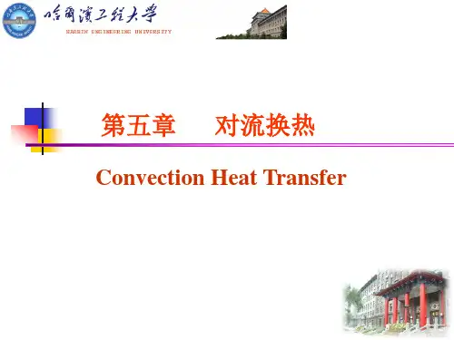 传热学第56章对流换热
