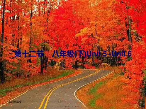 中考英语总复习第五部分教材梳理第12节八下unit5unit6