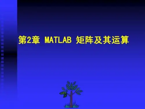 第2章 matlab矩阵及其运算