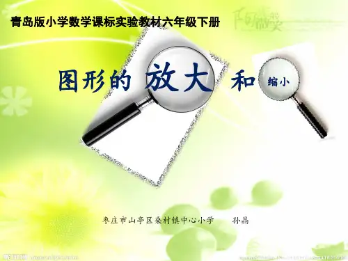 青岛版小学数学课标实验教材六年级下册图形的放大和缩小  微课件