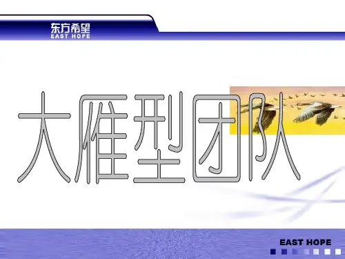 大雁的团队精神和行为