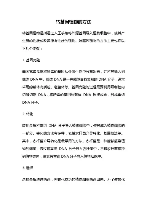 转基因植物的方法