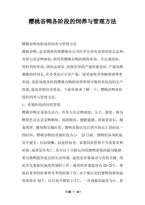 樱桃谷鸭各阶段的饲养与管理方法
