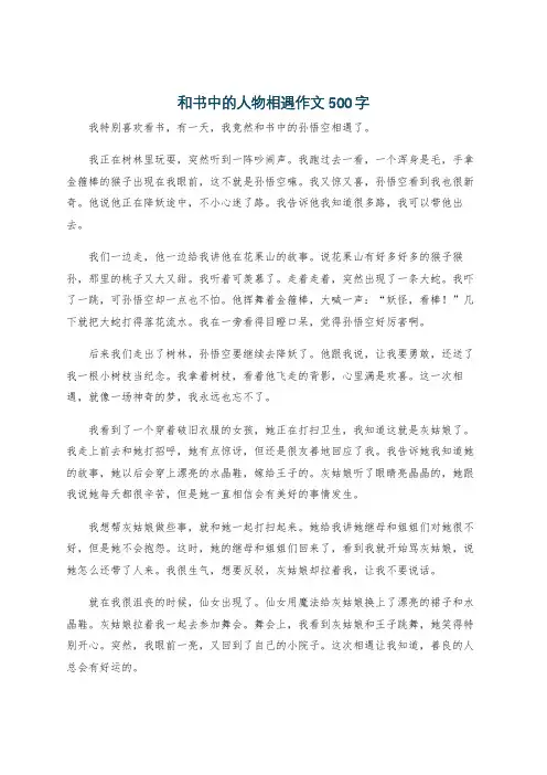 和书中的人物相遇作文500字