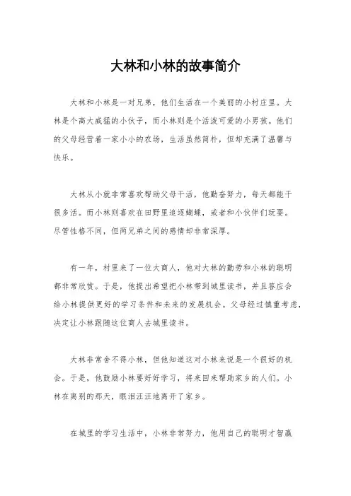 大林和小林的故事简介
