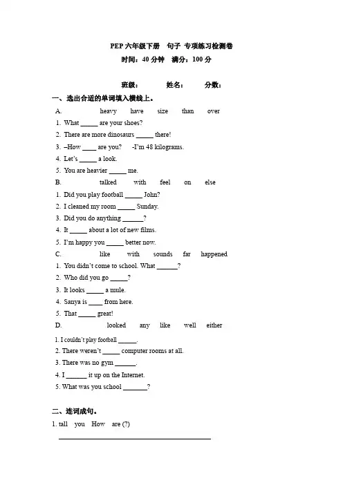 六年级英语下册期末专项卷-句子(word版,含答案)(人教PEP)