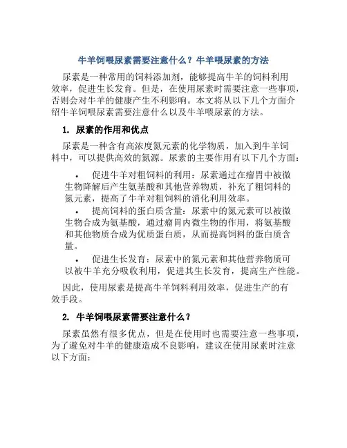 牛羊饲喂尿素需要注意什么牛羊喂尿素的方法