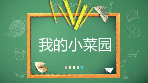 五年级下册  综合实践活动  主题六我的小菜园  课件