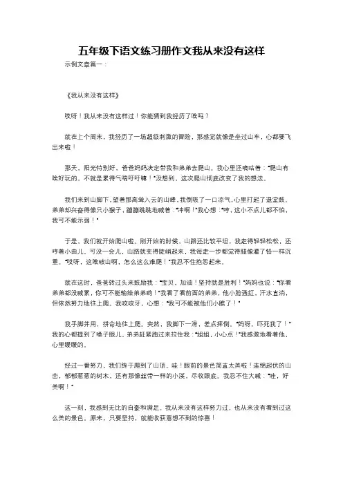 五年级下语文练习册作文我从来没有这样
