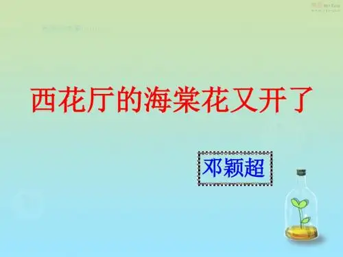 九年级语文语文版上册(课件)：3.《西花厅的海棠花又开了》课件1