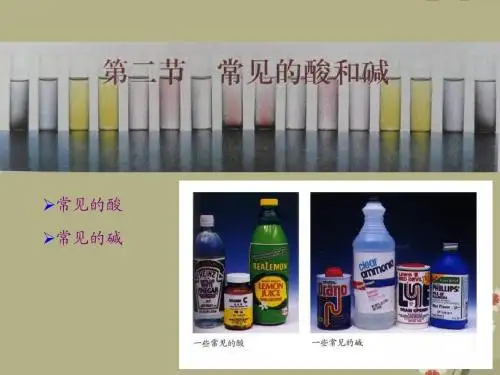 山西省榆社县第二中学九年级化学下册 常见的酸和碱课件2 新人教版