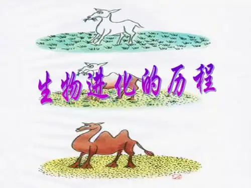 《生物进化的历程》PPT课件