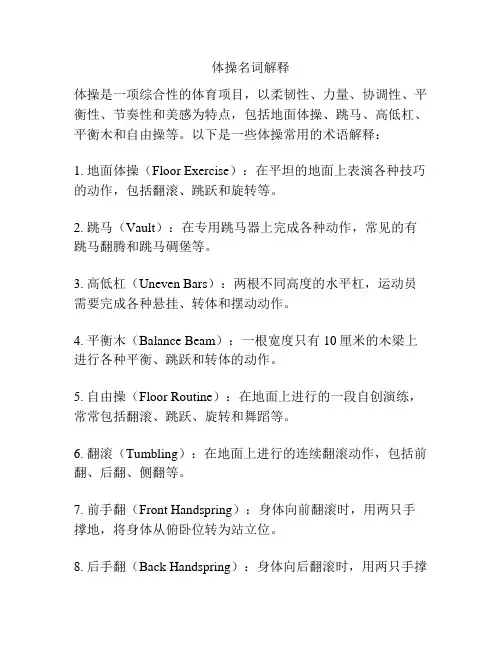 体操名词解释
