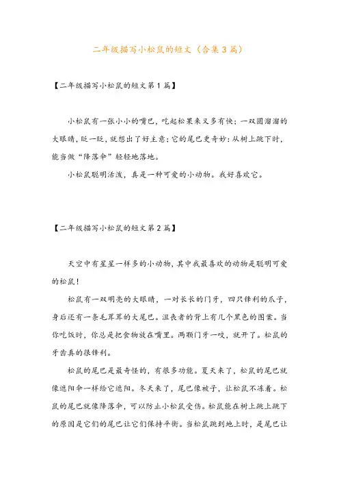 二年级描写小松鼠的短文(合集3篇)
